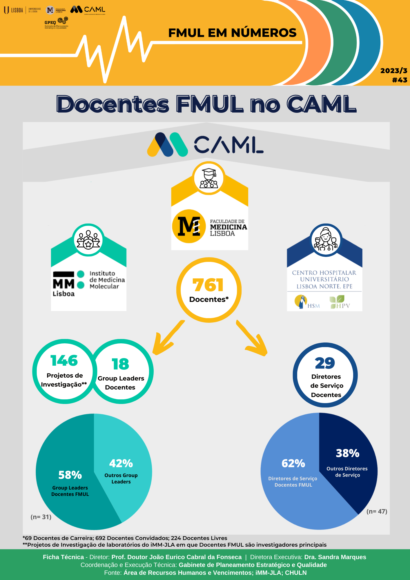 infografia da edição 43 do FMUL em números