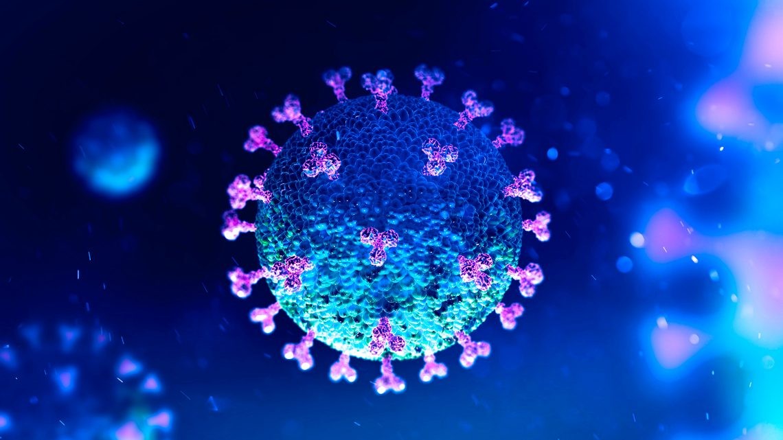 imagem do coronavirus dentro do organismo humano