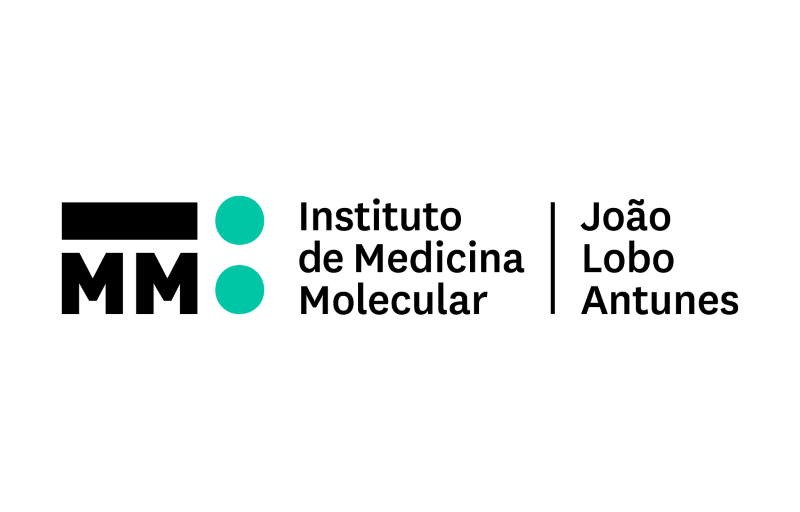 logo iMM