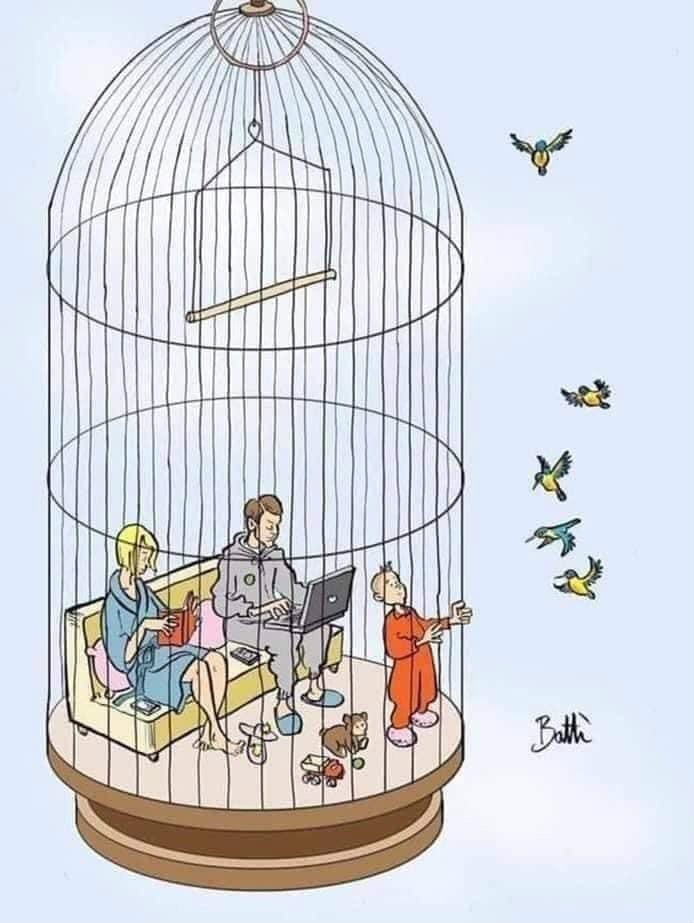 uma família dentro de uma gaiola enquanto os passarinho estão cá fora