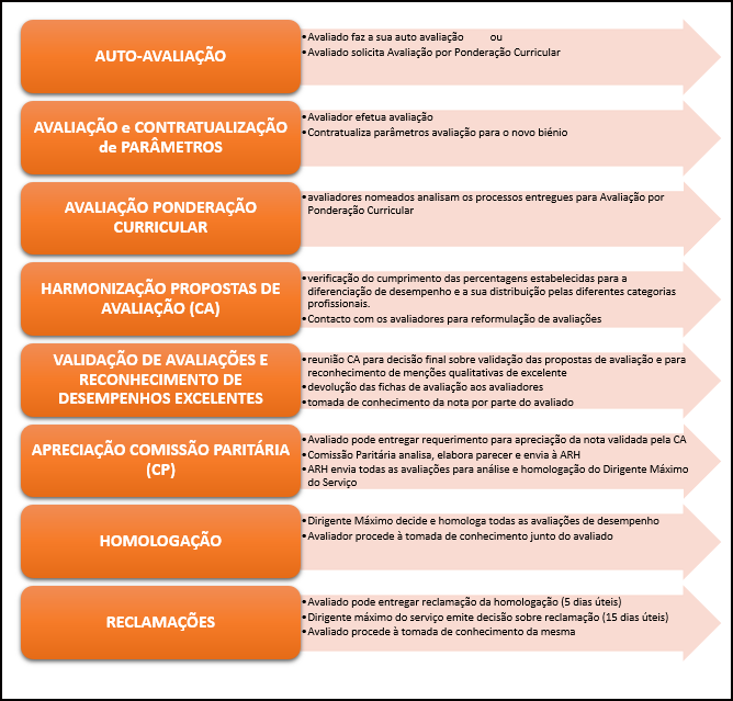 fases da avaliação - infografia