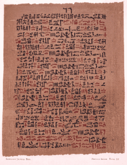Imagem de um papiro