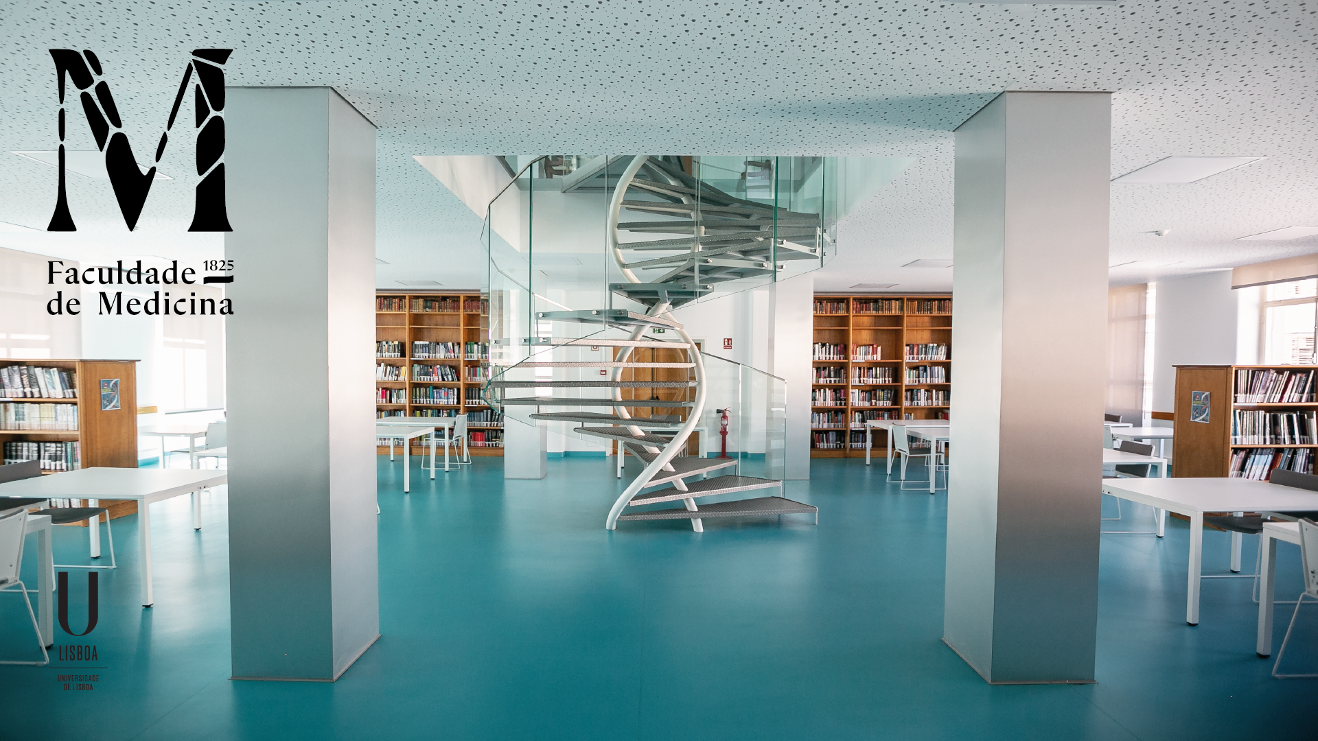 biblioteca da FMUL