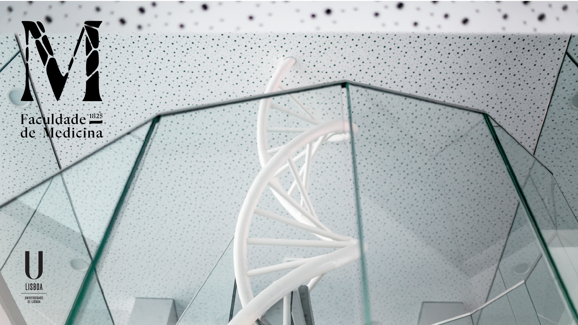 pormenor das escadas da biblioteca que se assemelham a DNA humano