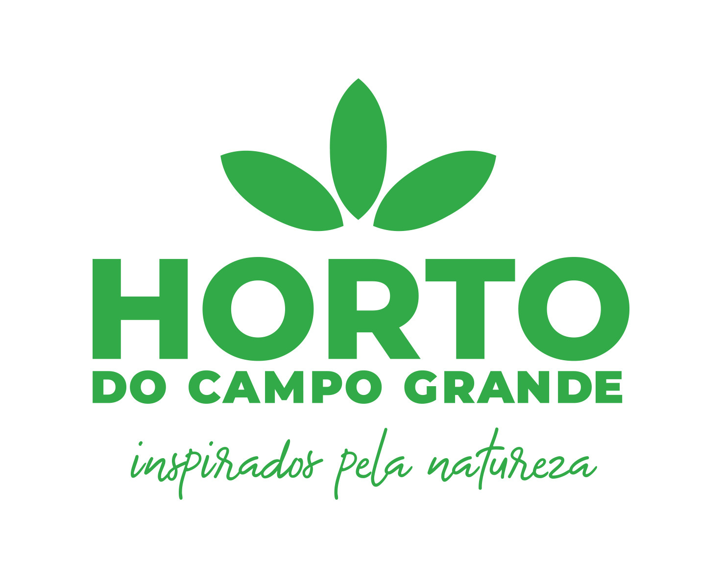 horto campo grande
