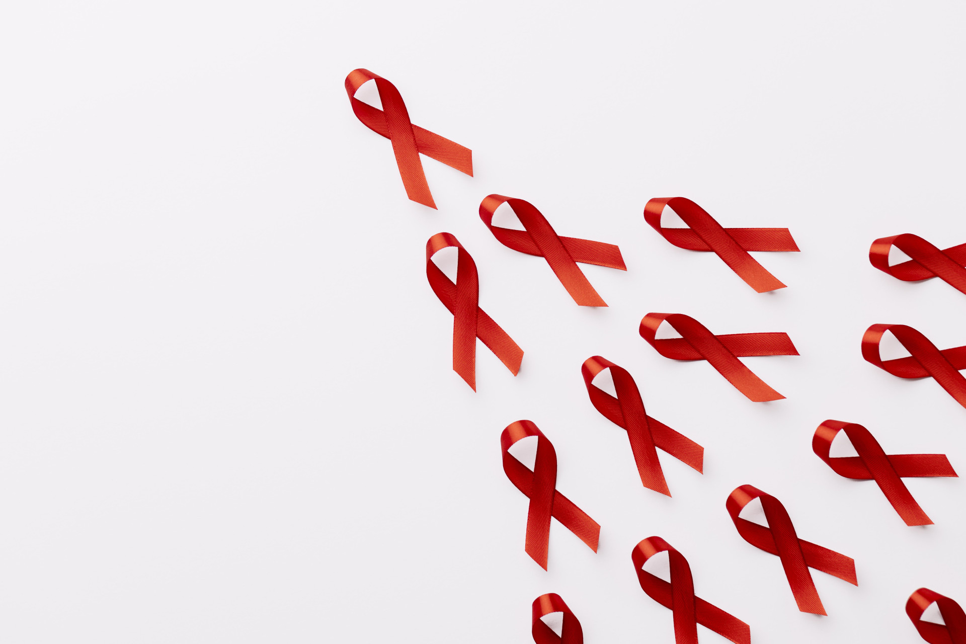 foto de laços encarnados- símbolo da luta contra o HIV