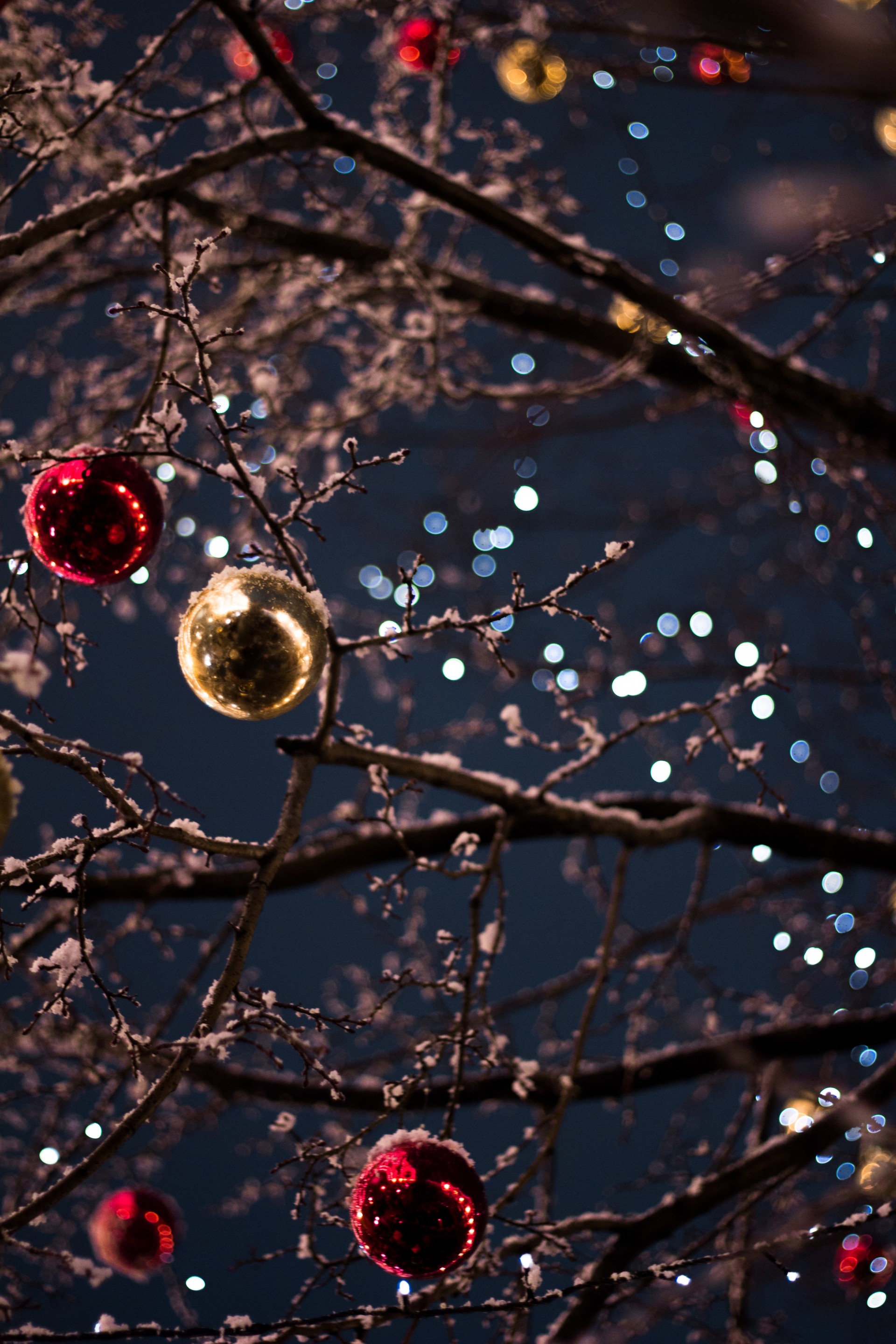 Ramos de uma árvore com enfeites de Natal