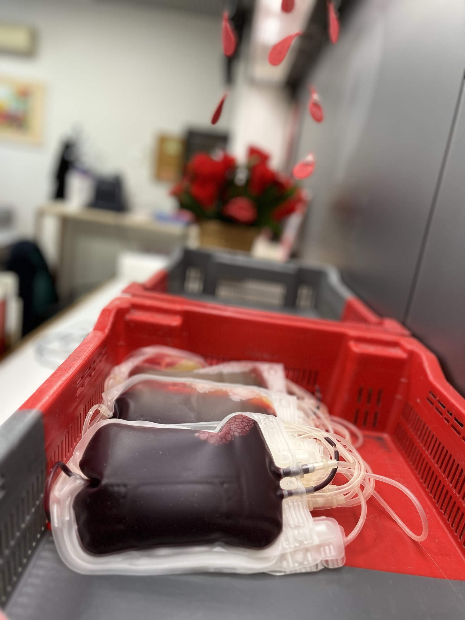 sacos de sangue após a dádiva
