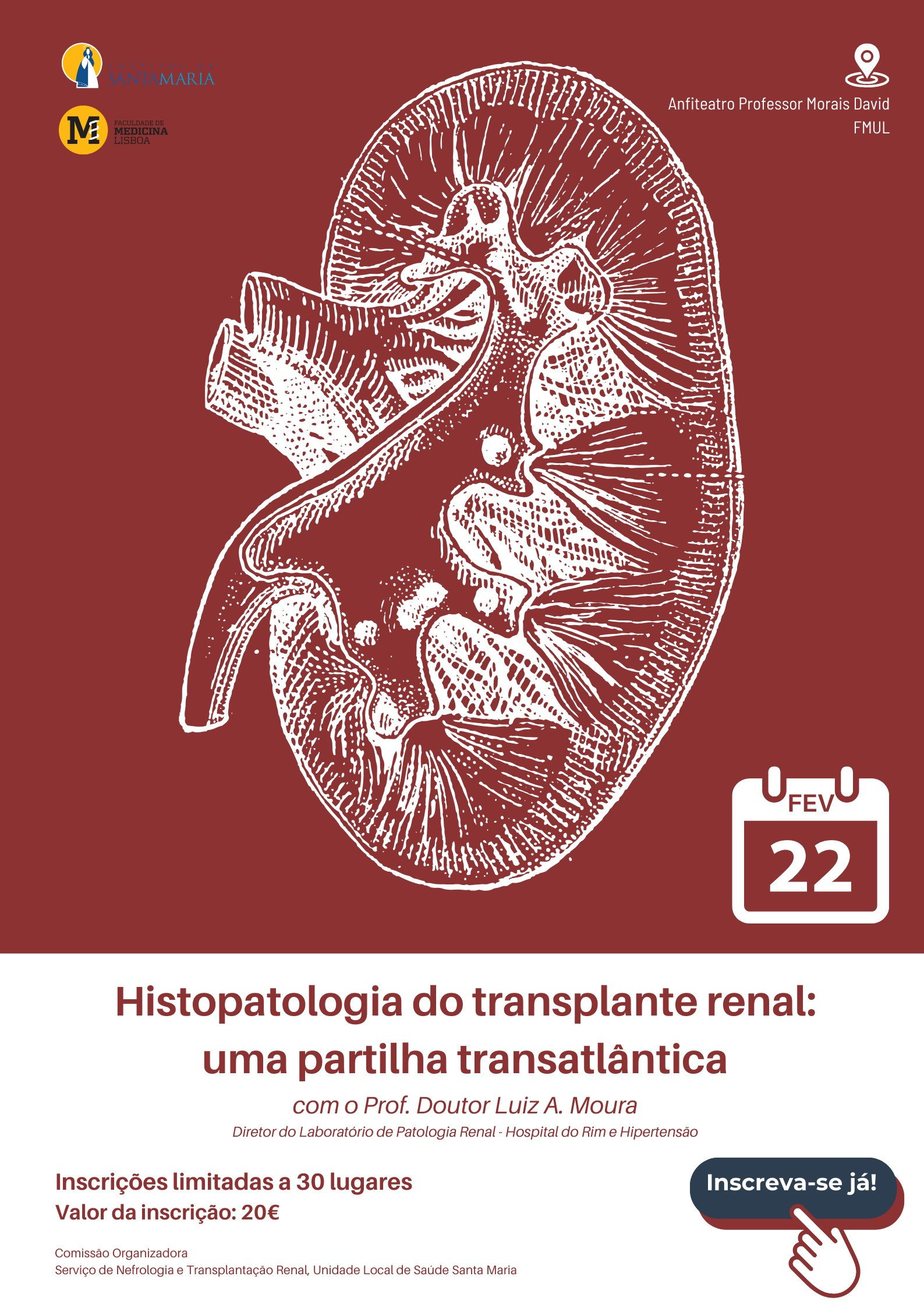 Histopatologia do transplante renal: uma partilha transatlântica