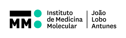 Logo iMM