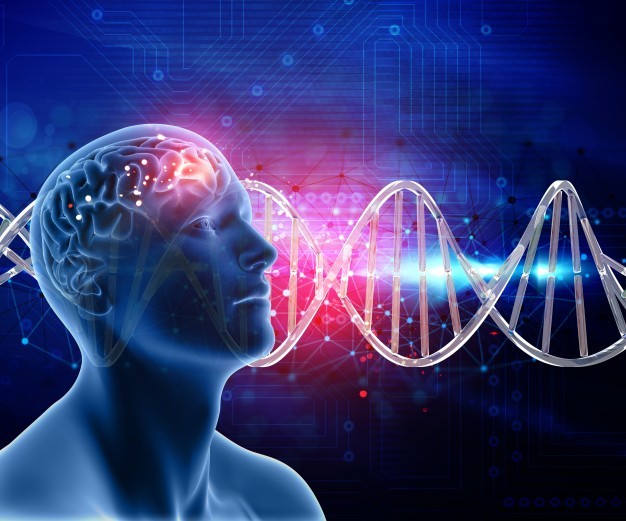imagem de um RX de um cérebro humano em tons de azul e roxo