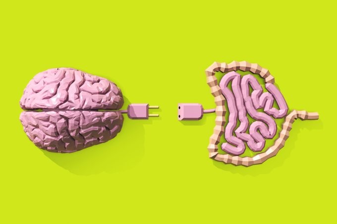 ilustração de intestino e cérebro ligados por fichas elétricas