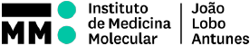 Logo do IMM