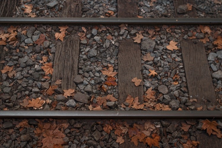 Linha de comboio em madeira com folha castanhas no chão.
